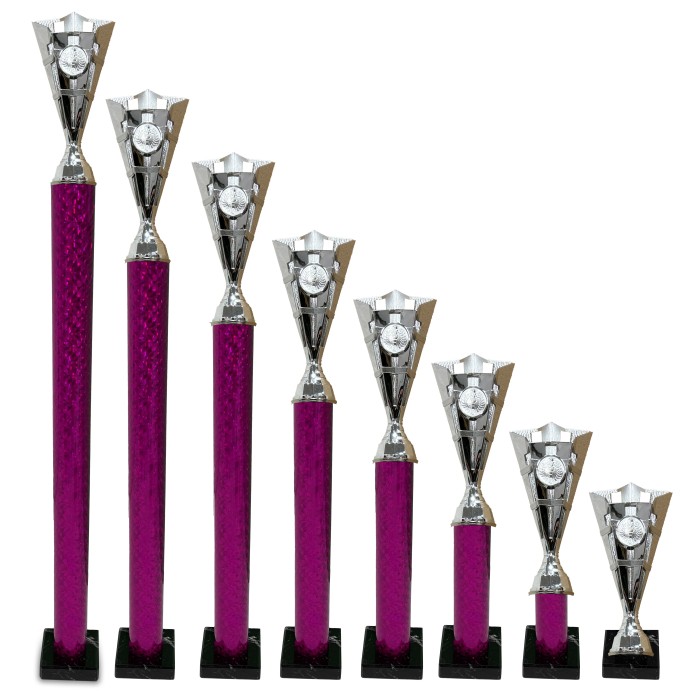 CENTRE HOLDER SILVER STAR CUP PLASTIC TROPHY - WITH CHOICE OF SPORTS CENTRE - 8 SIZES